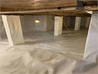 Palm Harbor Crawl Space Repair Dante  Greeves