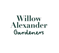  Willow Alexander  Cleaners